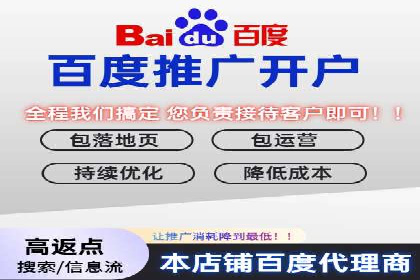 如何利用百度竞价代理：真实案例分析